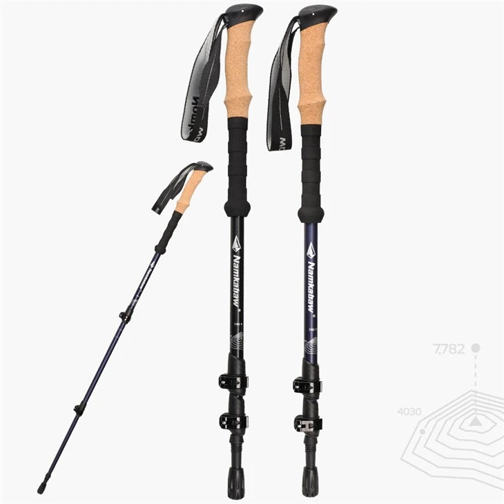 Lightweight Modern Alpenstock Hiking Climbing Nordic Walking Cane Sticks