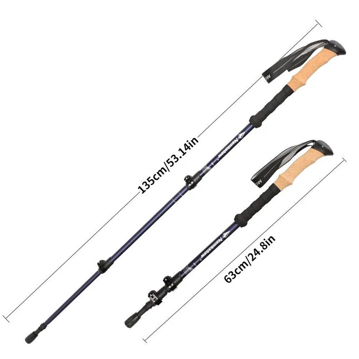 Lightweight Modern Alpenstock Hiking Climbing Nordic Walking Cane Sticks best